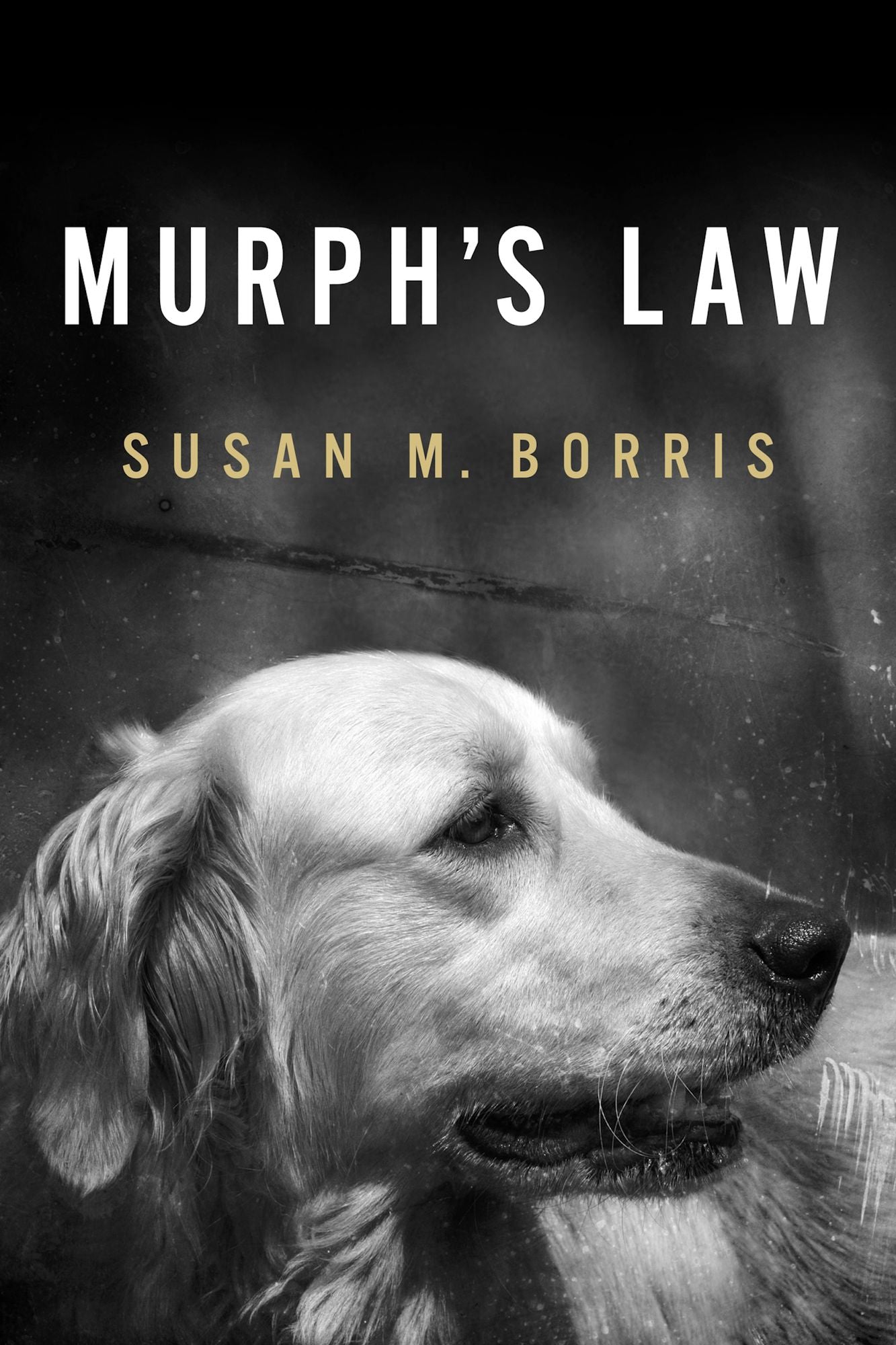 Murph's Law