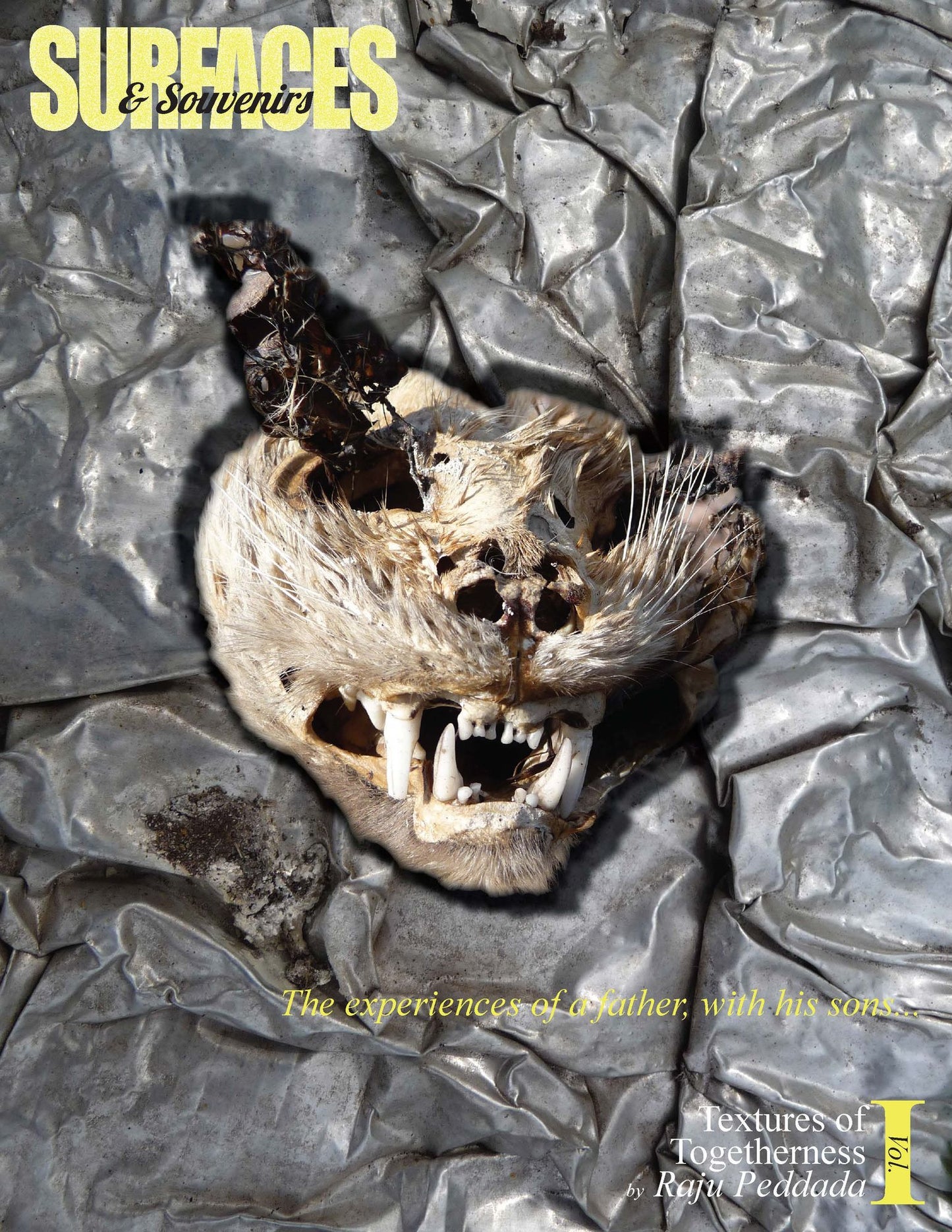 Surfaces & Souvenirs: Textures of Togetherness, Vol. 1