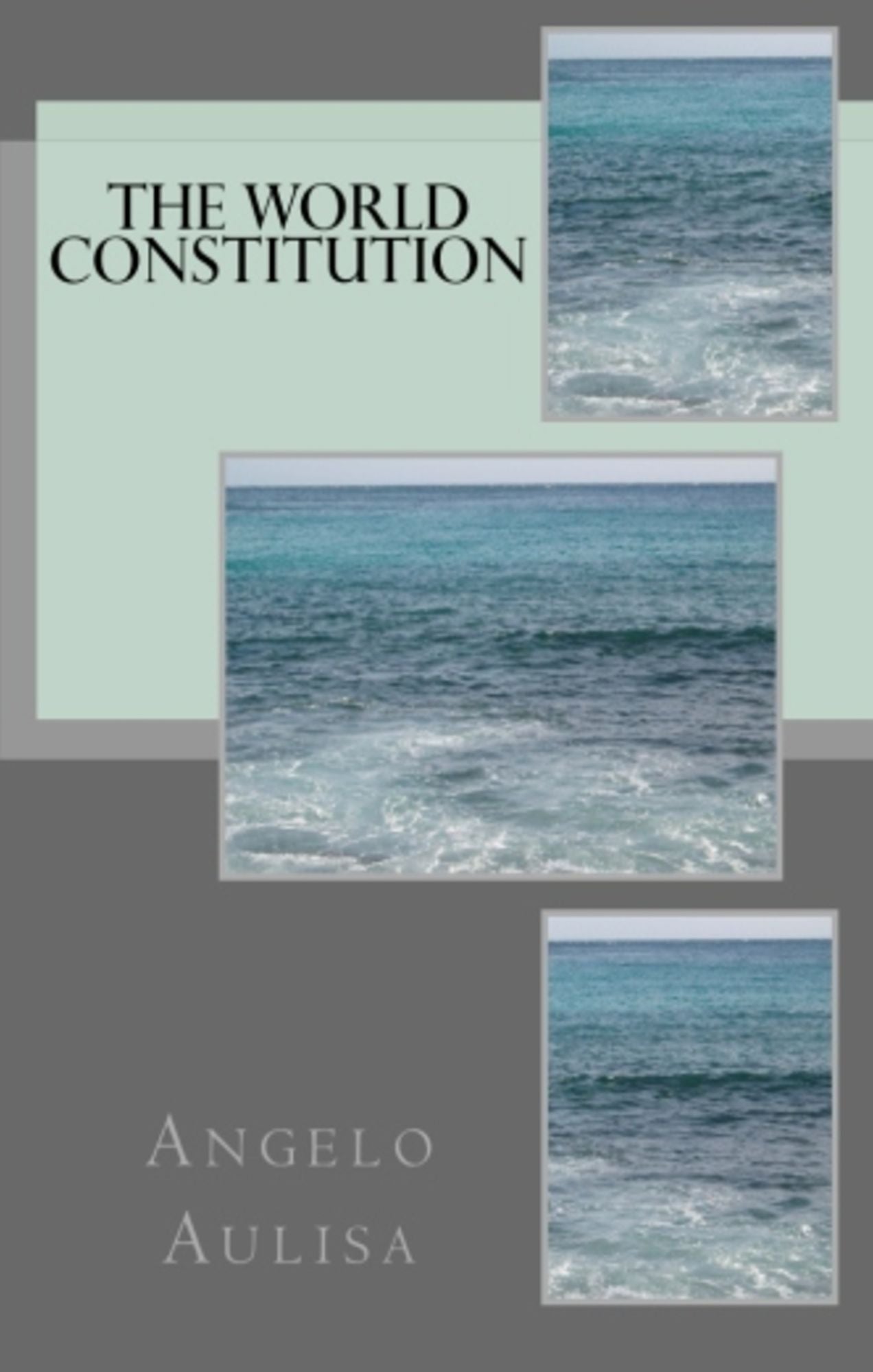 The World Constitution
