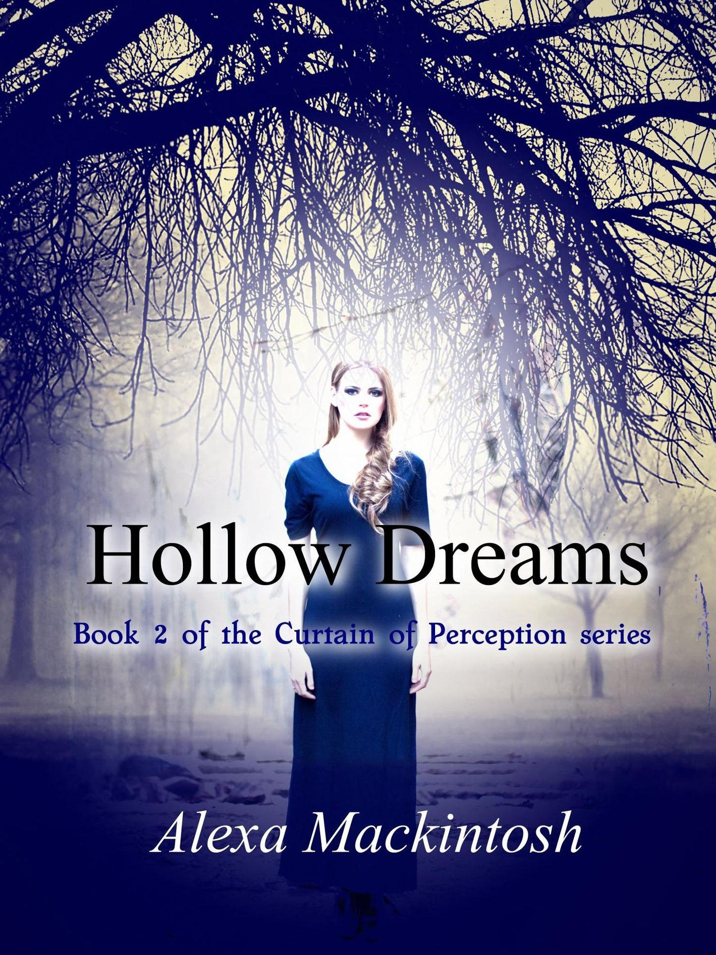 Hollow Dreams: The Second Book of the Curtain of Perception Series