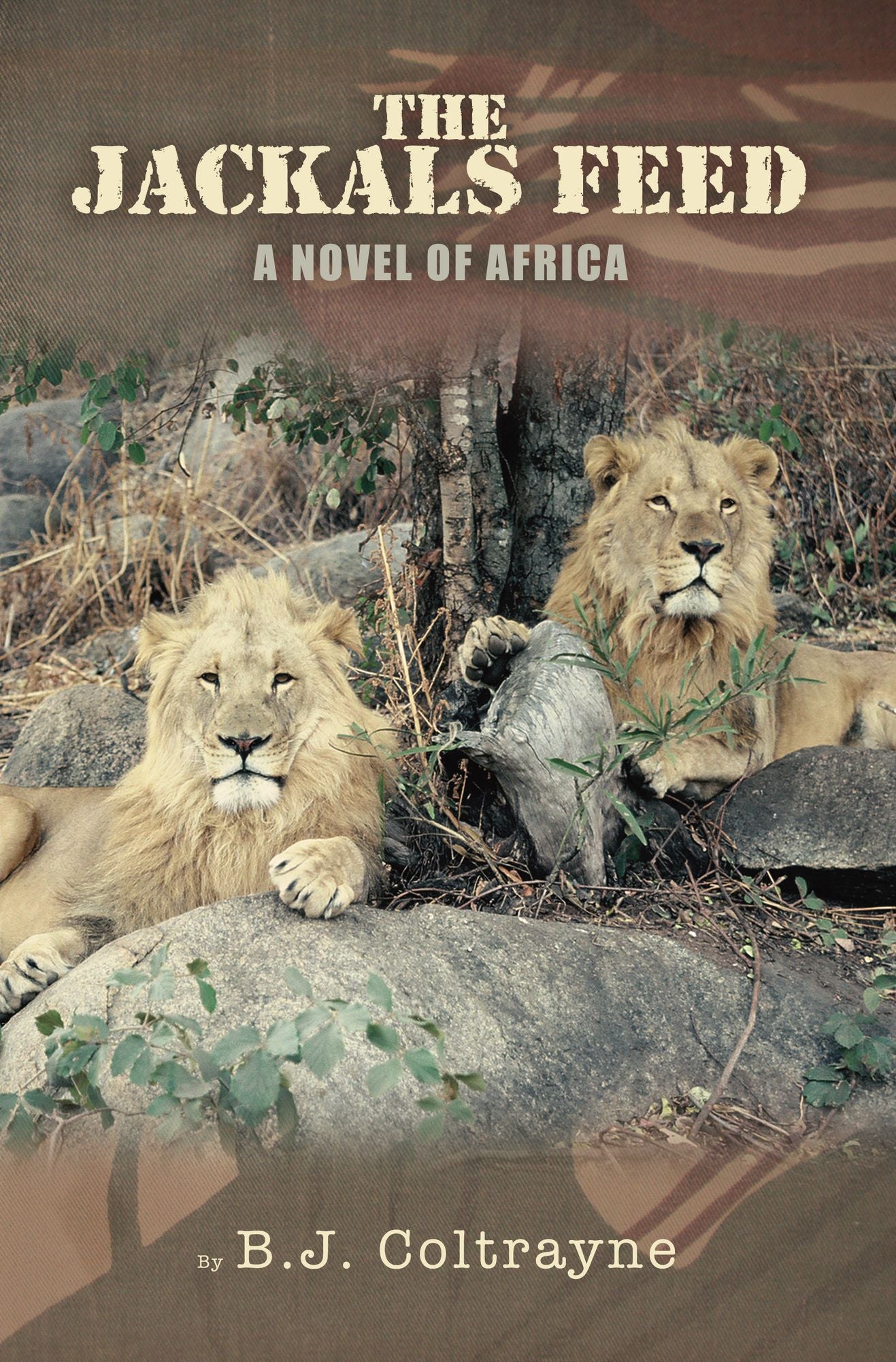 The Jackals Feed: A Novel of Africa