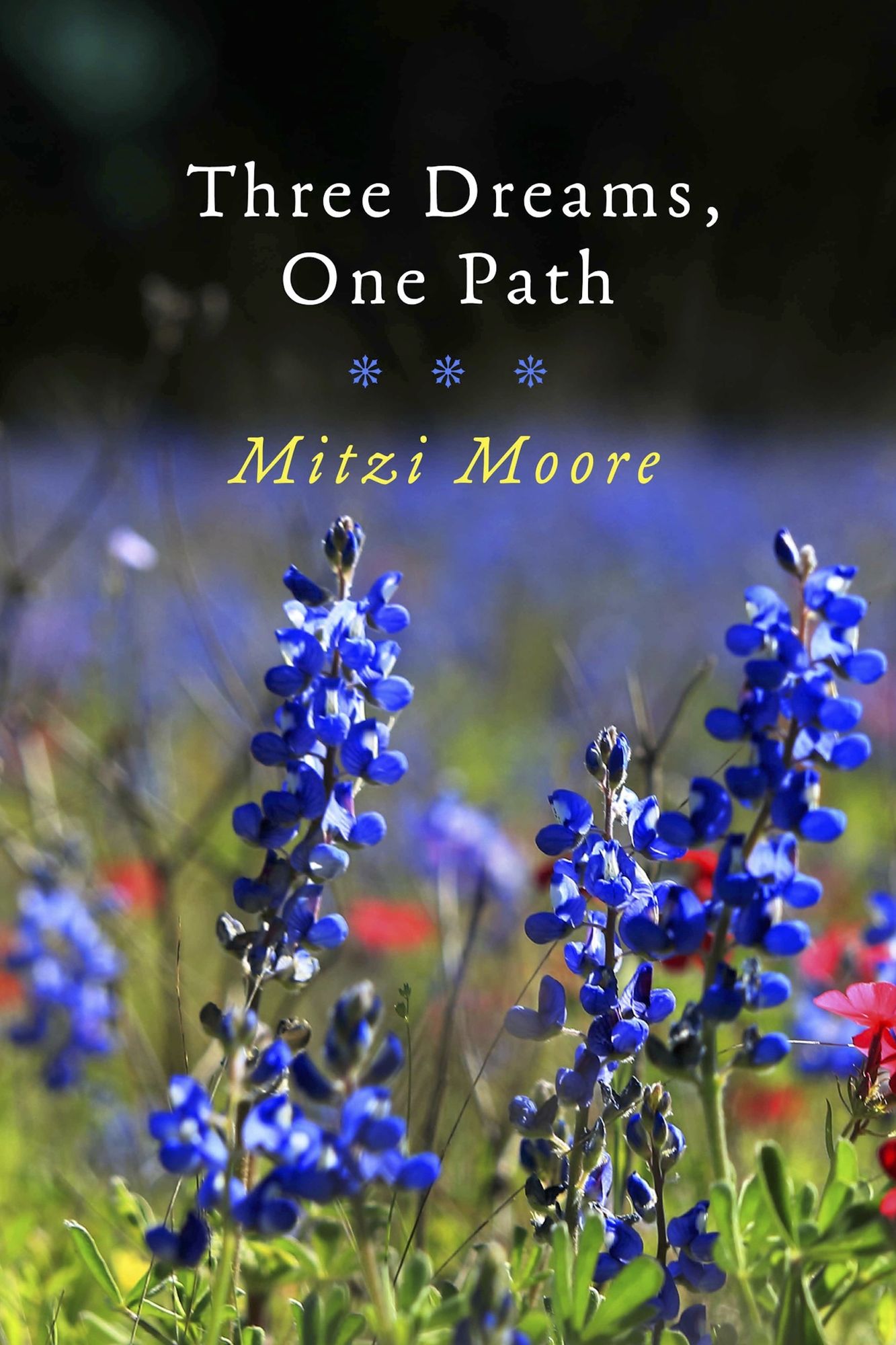 Three Dreams, One Path