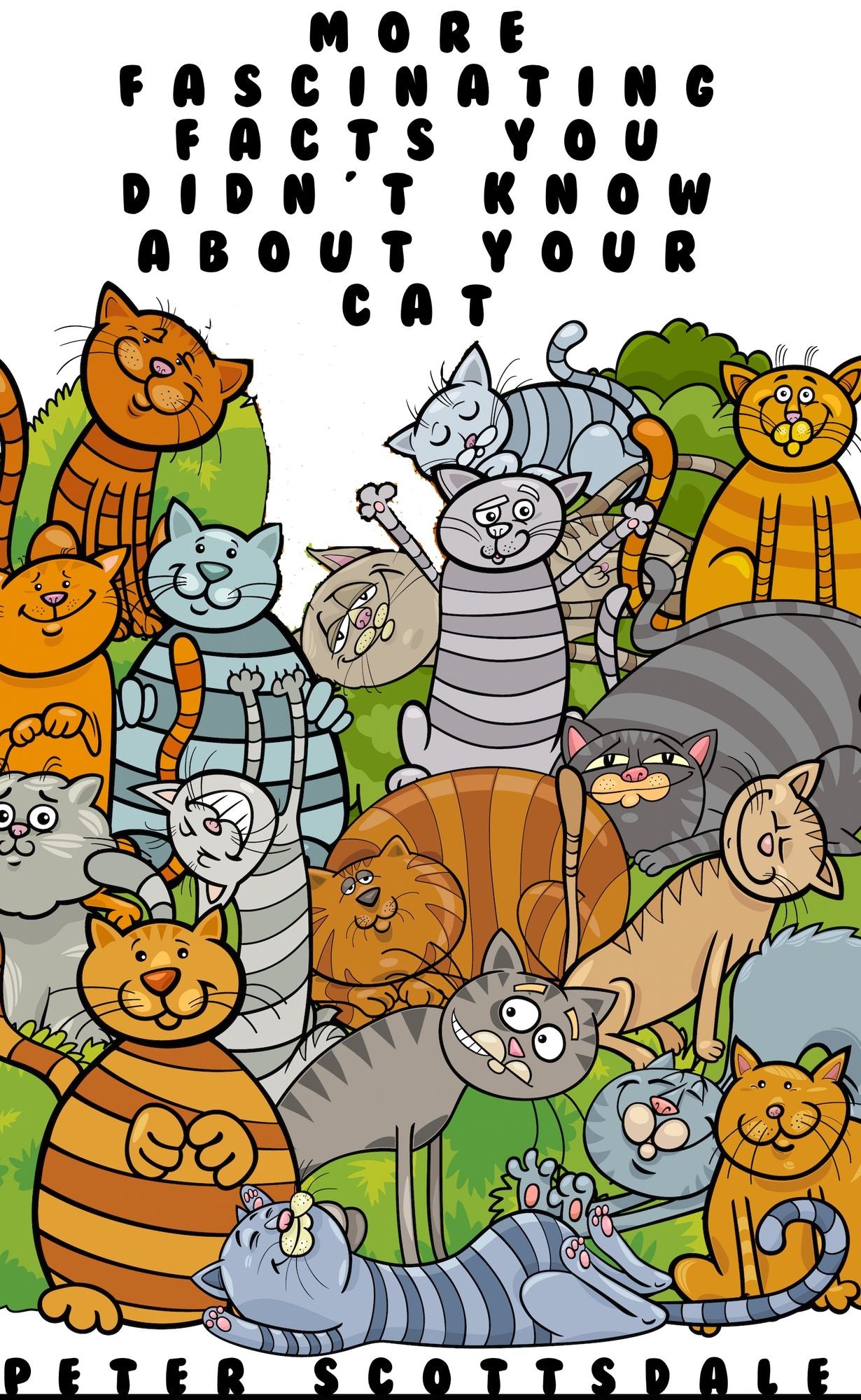 More Fascinating Facts You Didn't Know About Your Cat