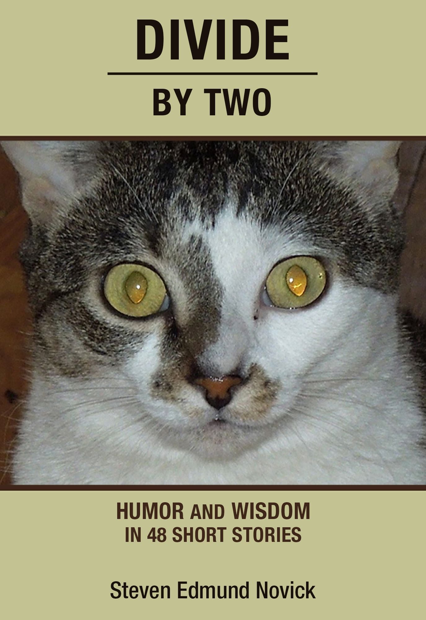 Divide By Two: Humor and Wisdom In 48 Short Stories