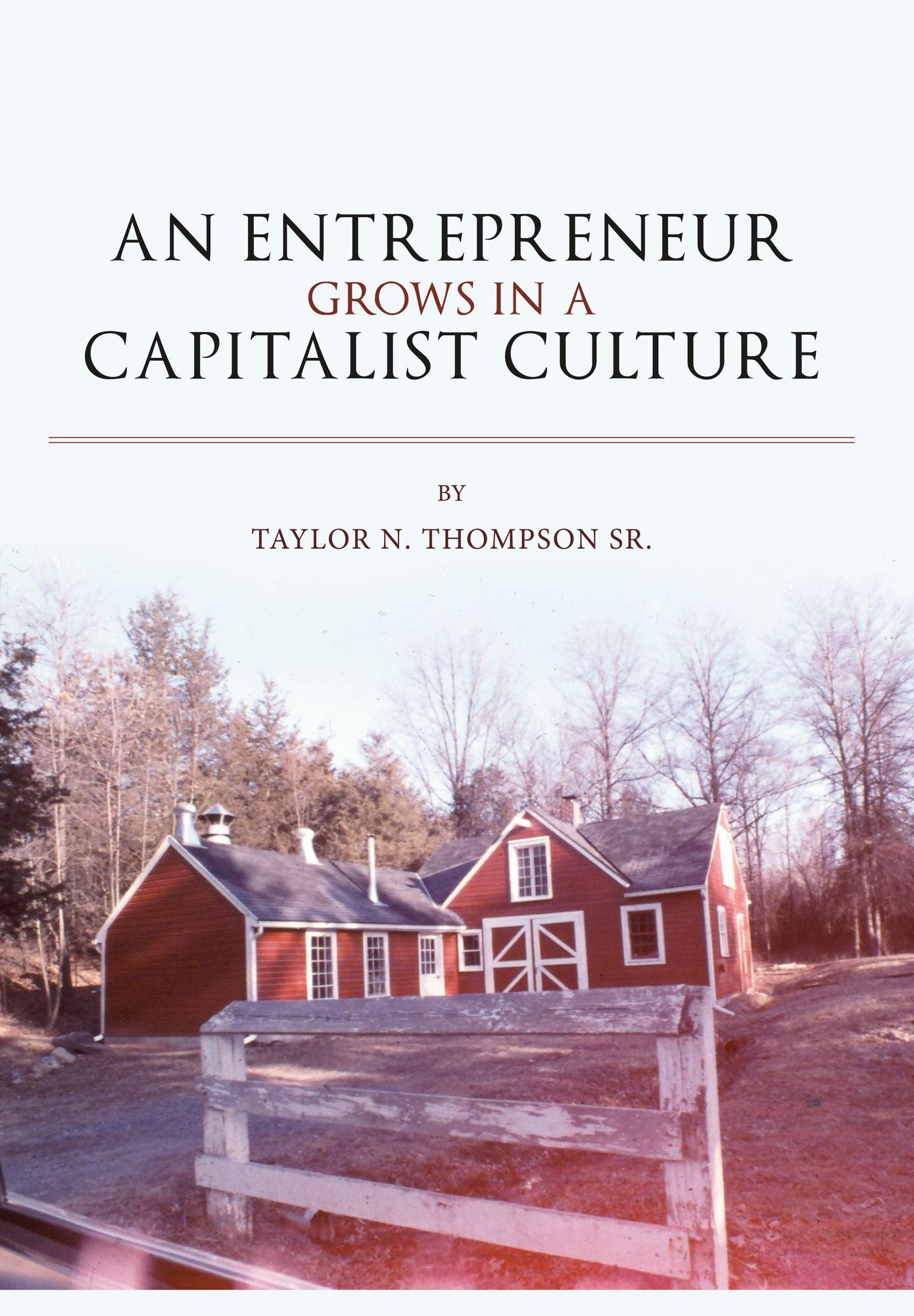 An Entrepreneur Grows in a Capitalist Culture: Preparation and Luck