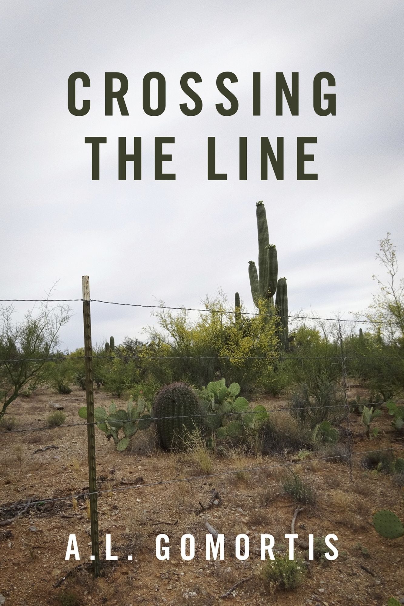 Crossing the Line