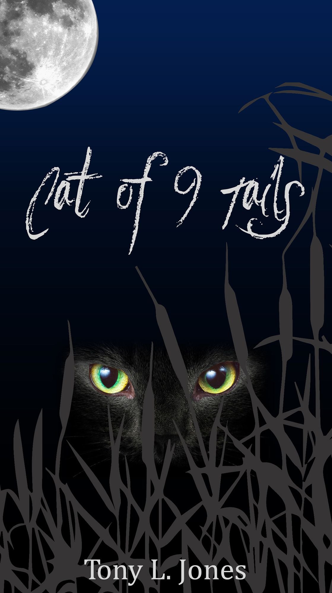 Cat of 9 Tails