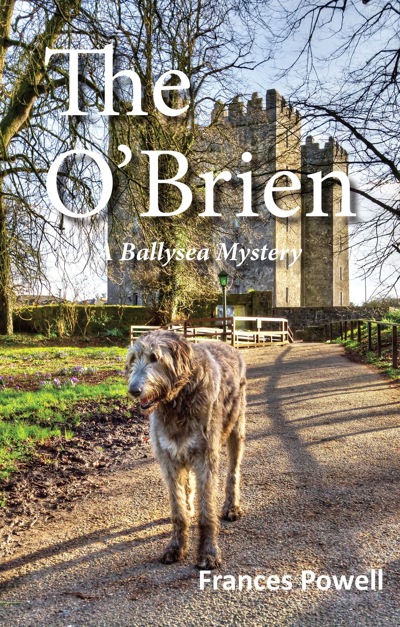The O'Brien: A Ballysea Mystery