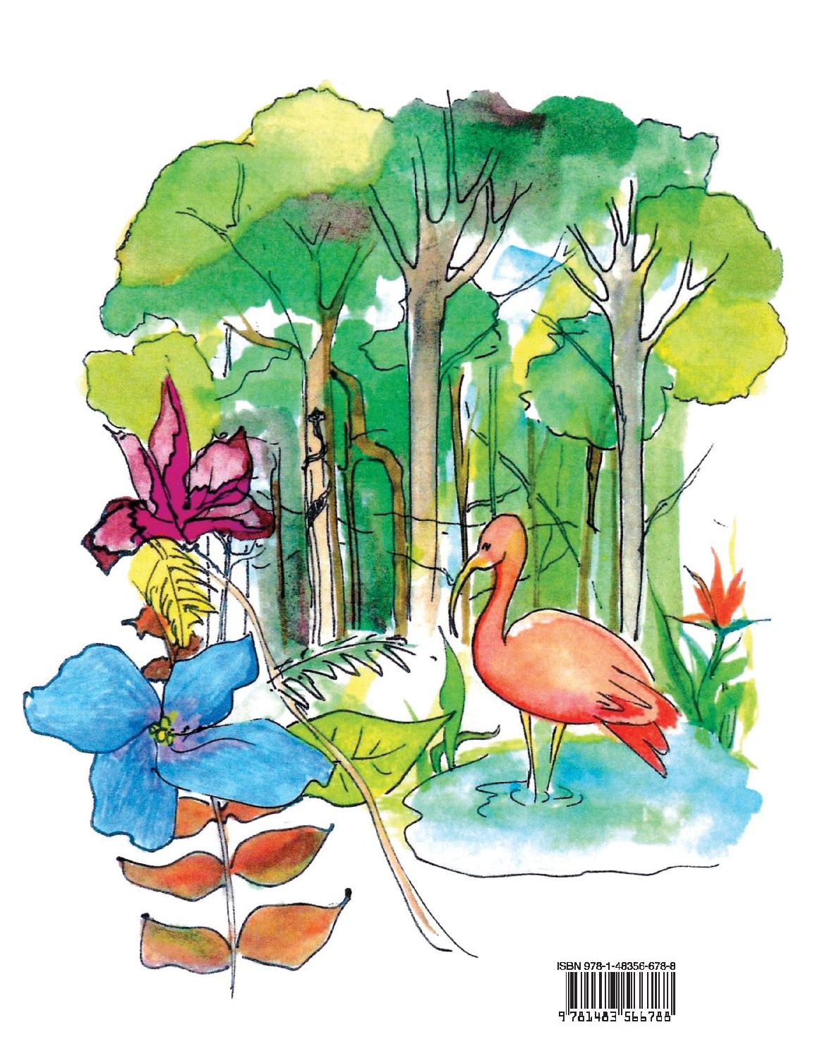 Can You Hear The Rainforest Sing?