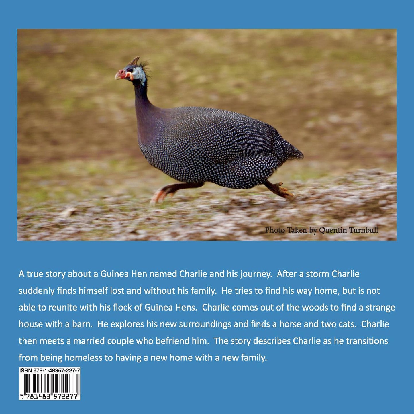 Charlie Finds a Home: A Homeless Guinea Hen's Journey