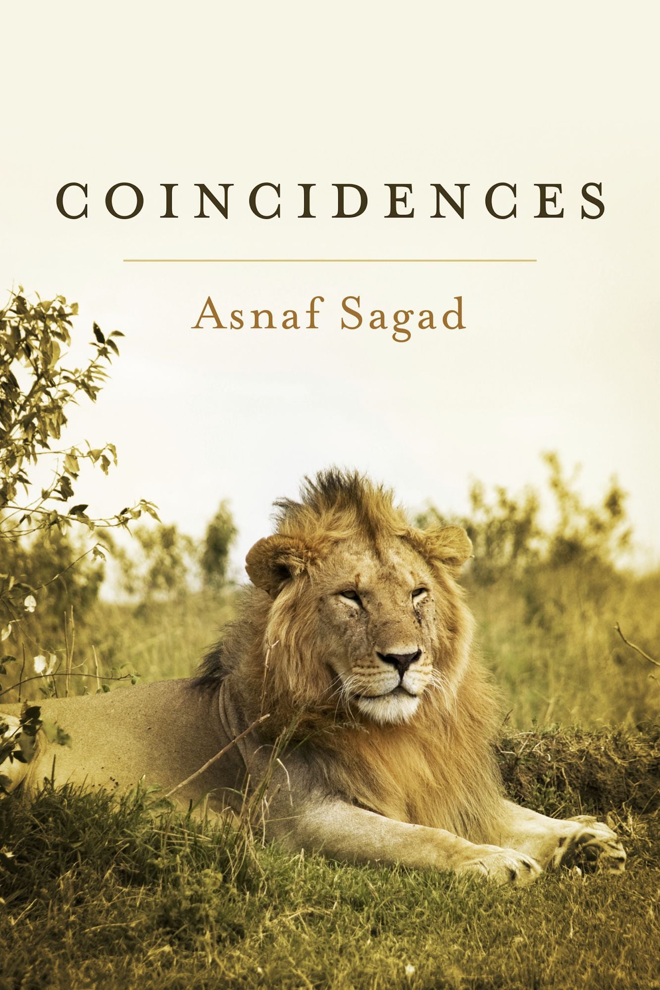 Coincidences