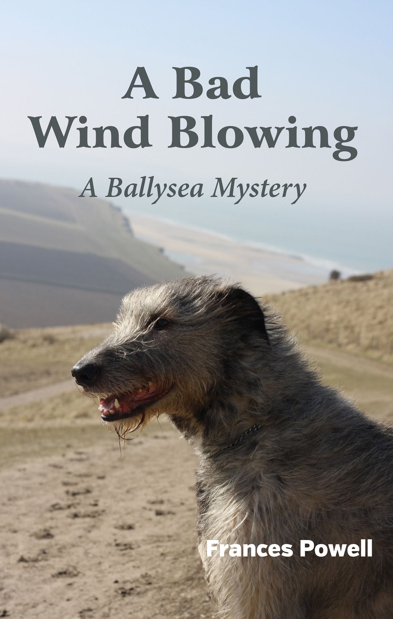 A Bad Wind Blowing: A Ballysea Mystery