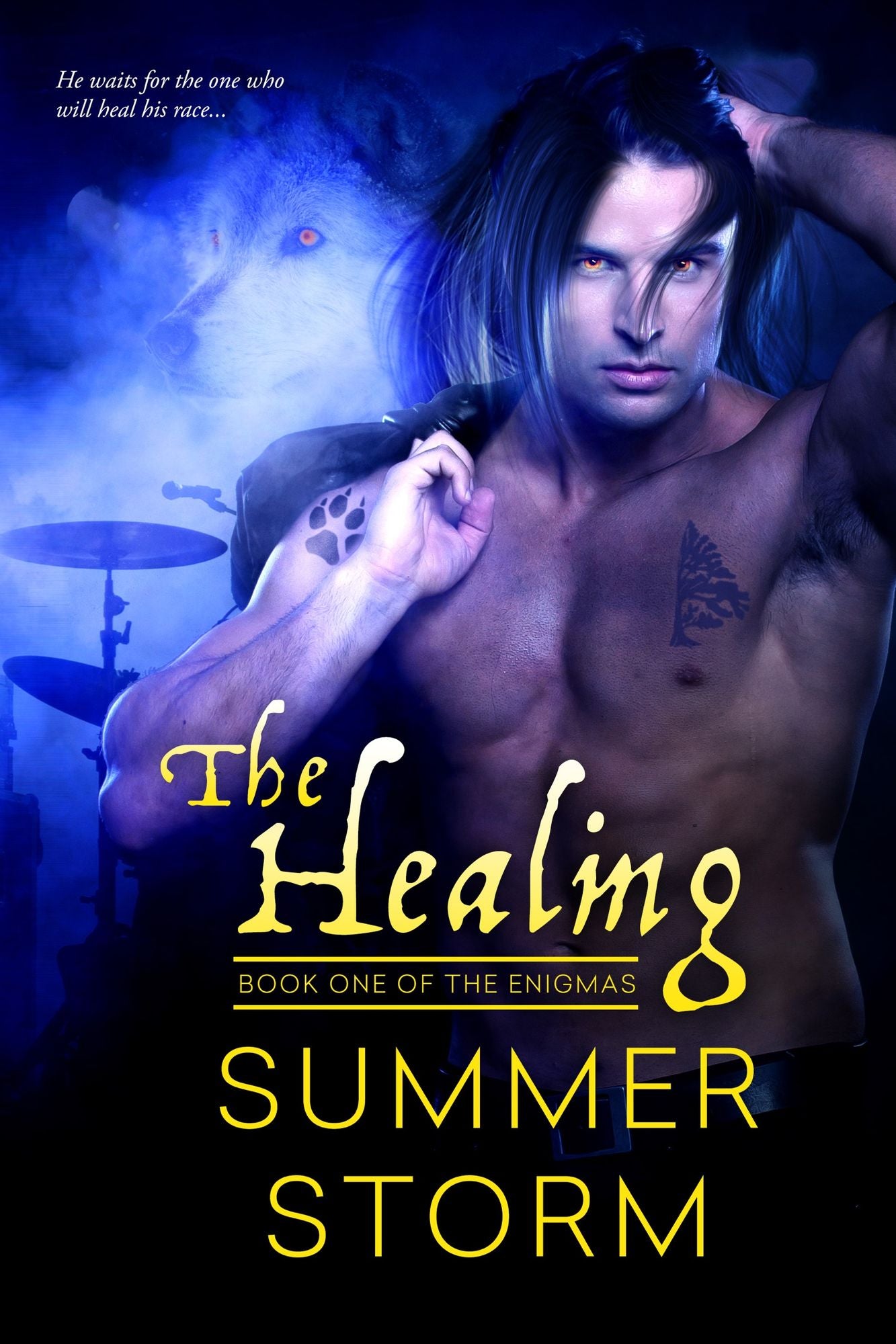 The Healing: Book One of the Enigmas