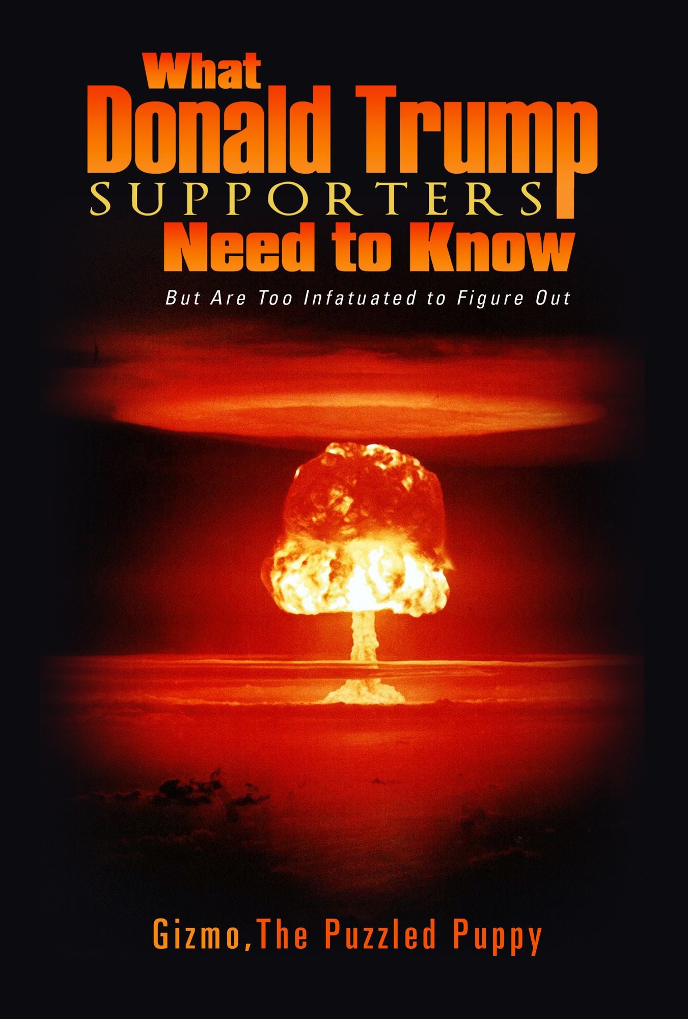 What Donald Trump Supporters Need to Know: But Are Too Infatuated to Figure Out