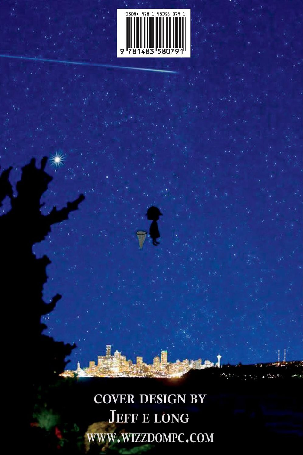 Catching Stars While Walking Into Walls: Finding Our Way to God's Heart in the Daily and the Ordinary
