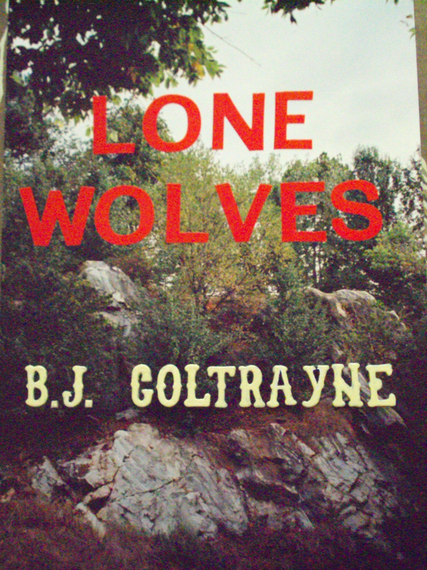 Lone Wolves: A Novel of Terrorism