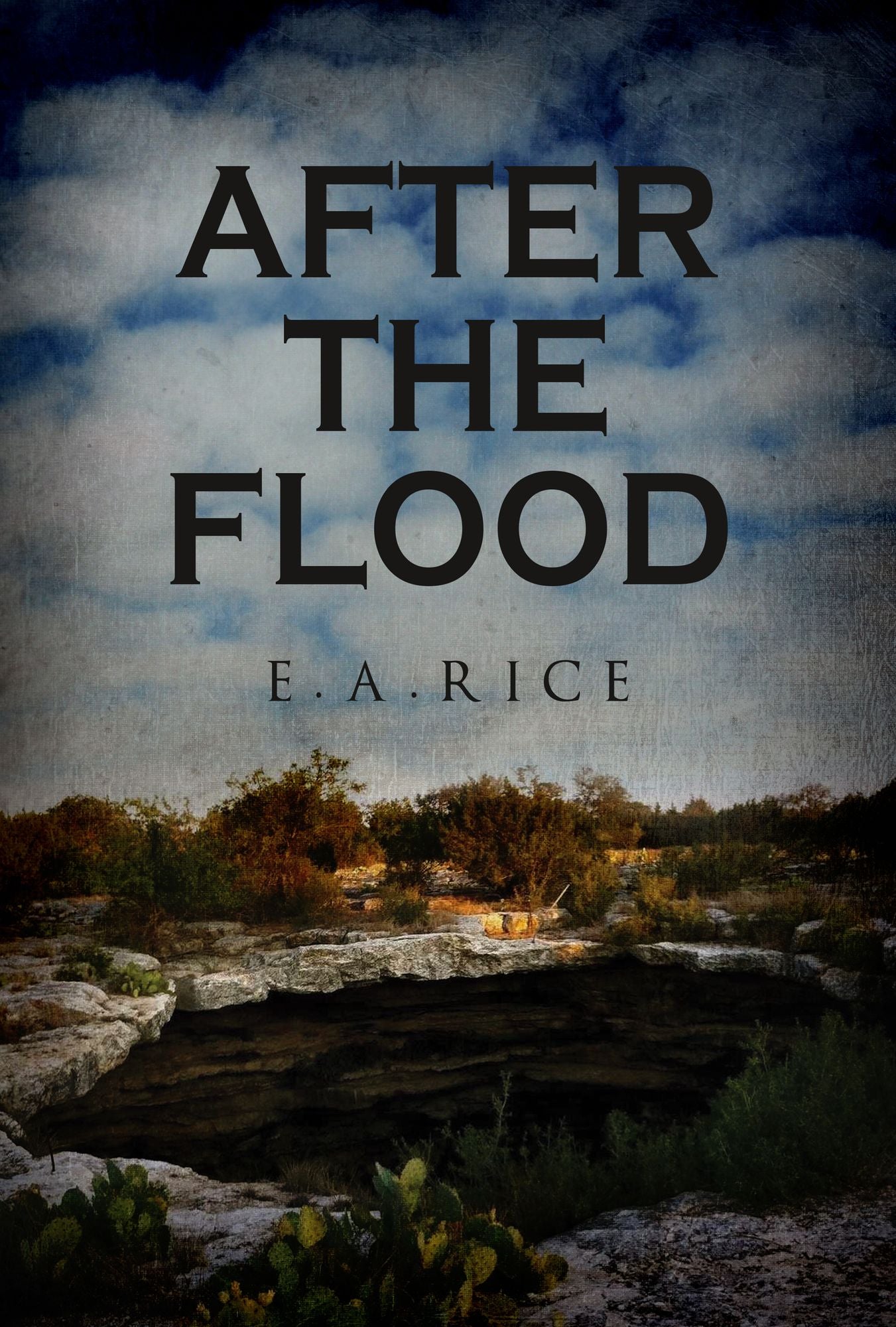 After The Flood