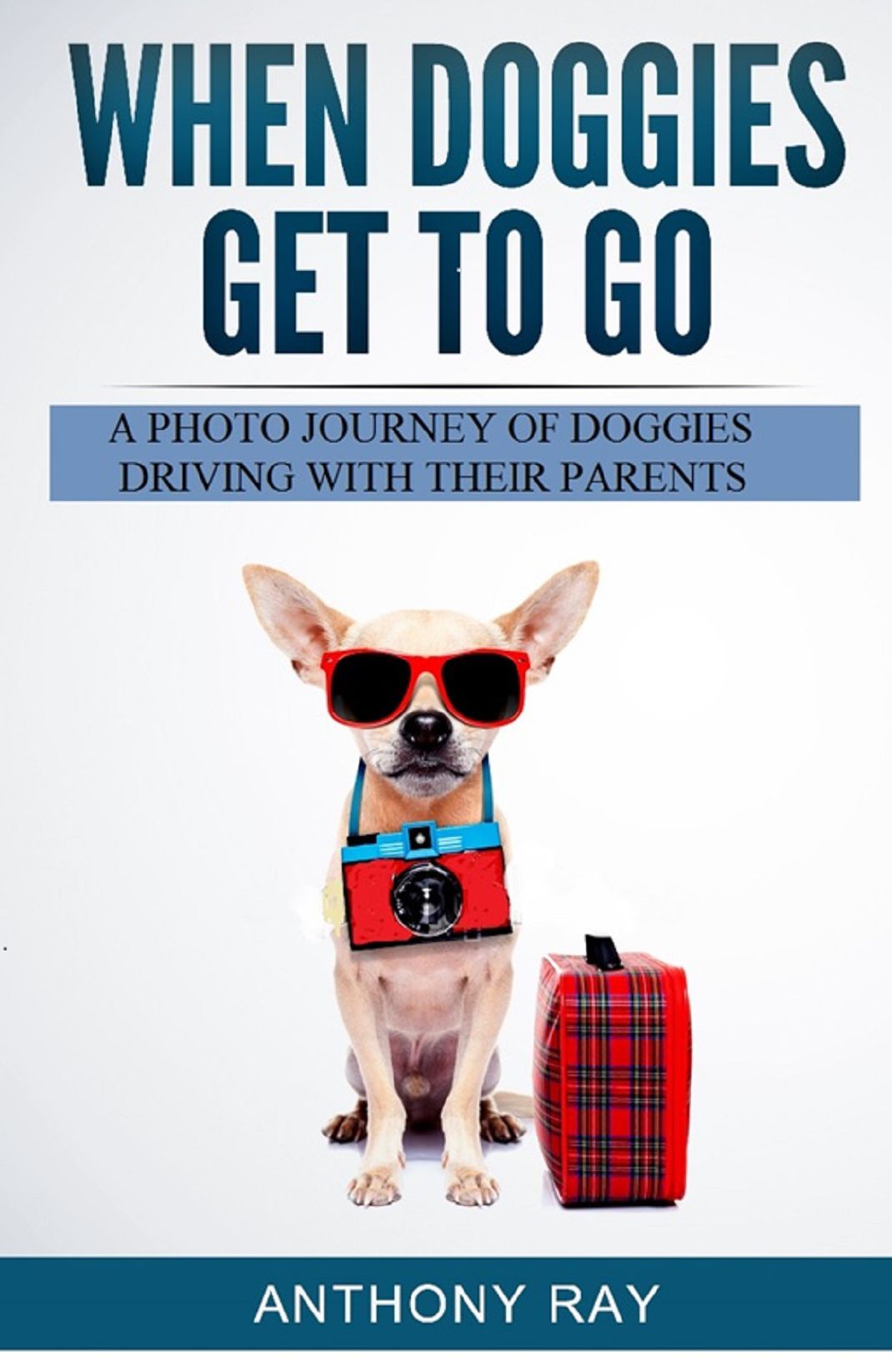 When Doggies Get to Go: A Photo Journey of Doggies Driving With Their Parents