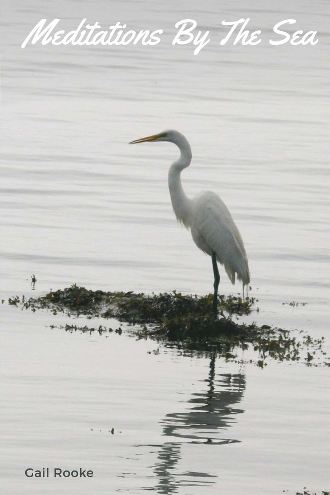 Meditations by the Sea: Poems