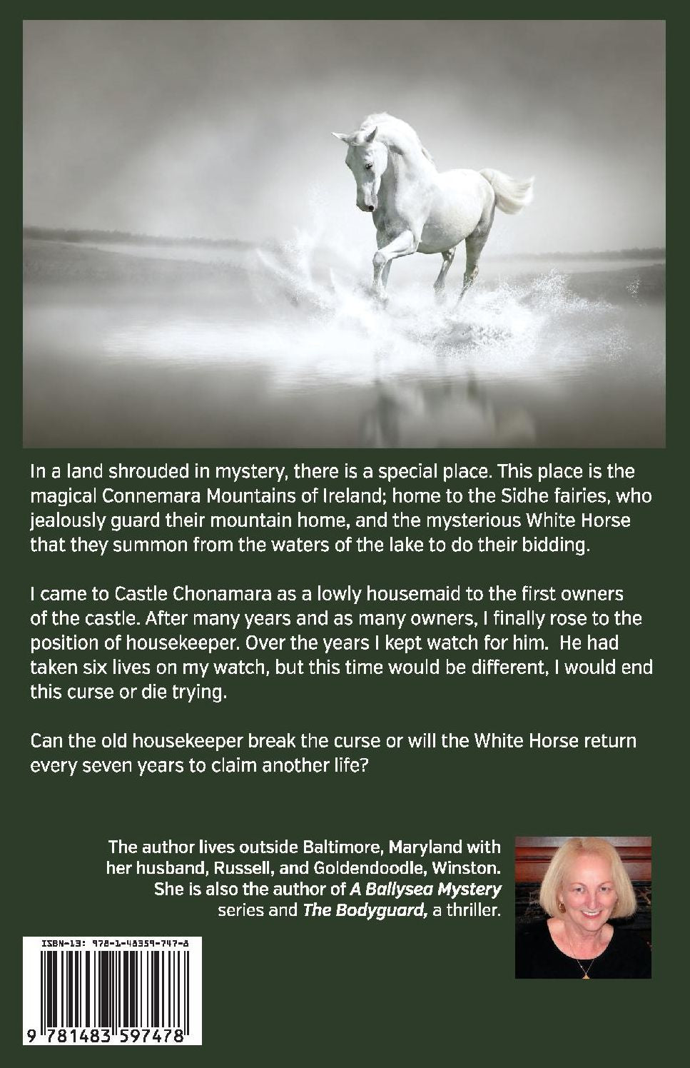 Mystery of White Horse Lake: An Irish Mystery