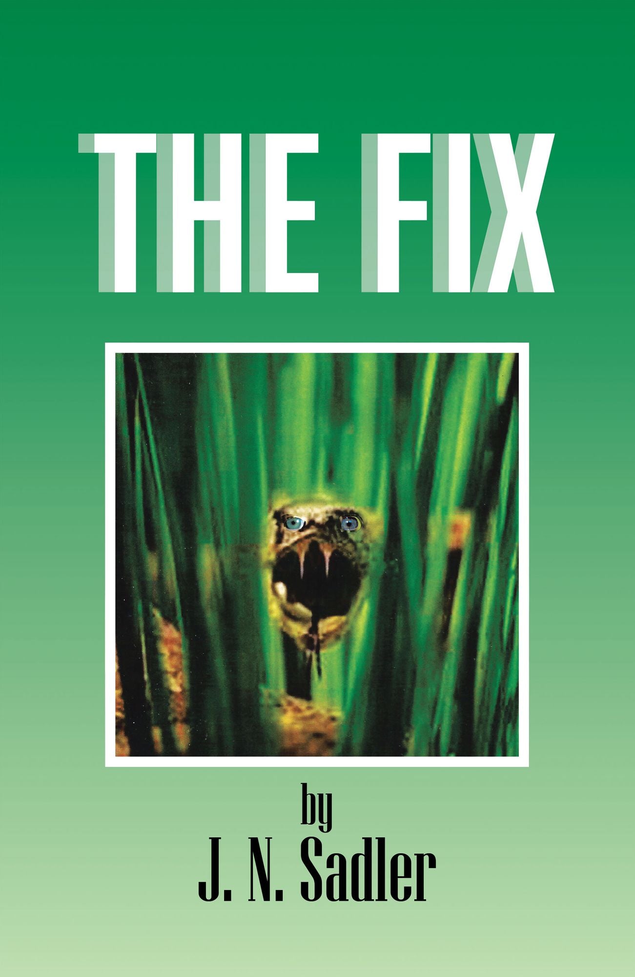 The Fix