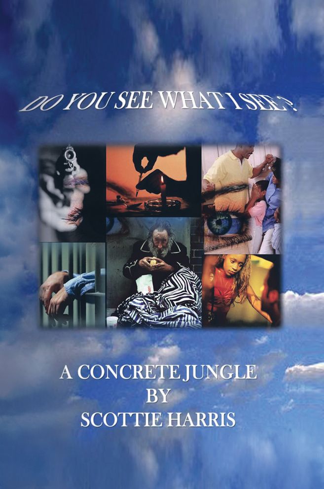 DO YOU SEE WHAT I SEE?: A CONCRETE JUNGLE