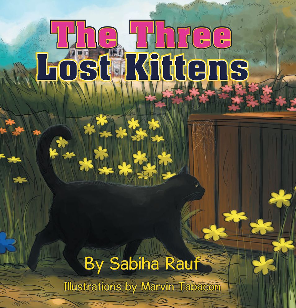 The Three Lost Kittens