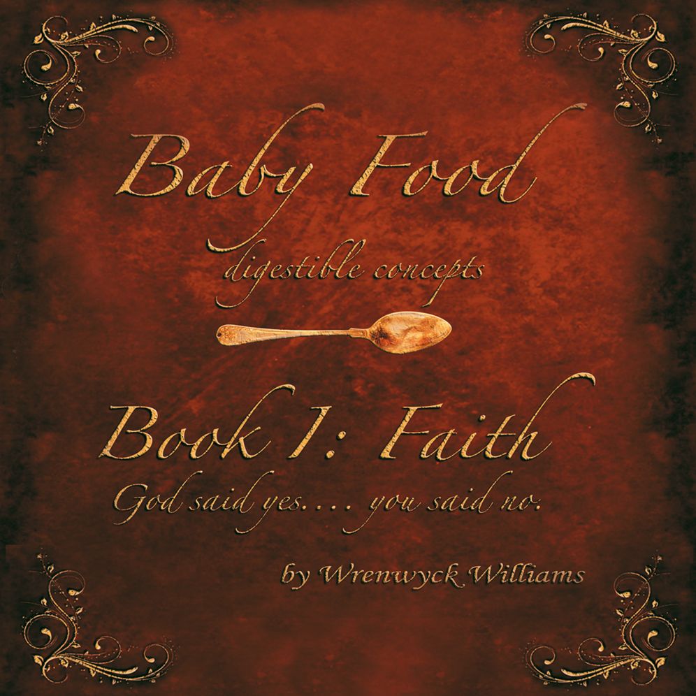 Baby Food: (Digestible Concepts) Book 1: Faith God said yes.... you said no.