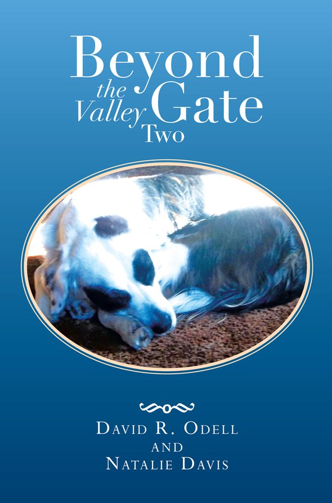 Beyond The Valley Gate Two
