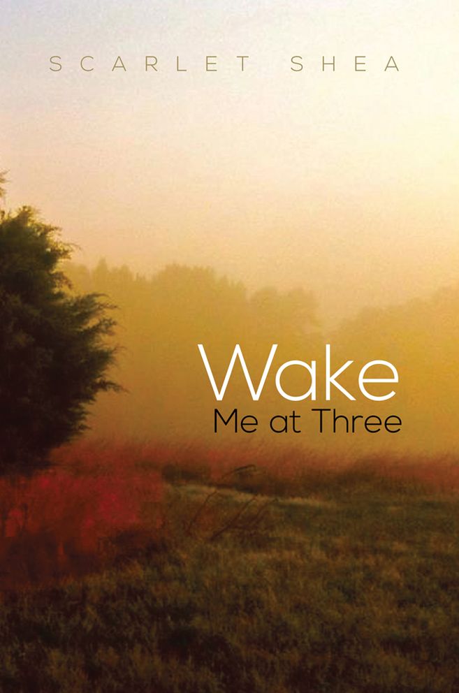 Wake Me at Three