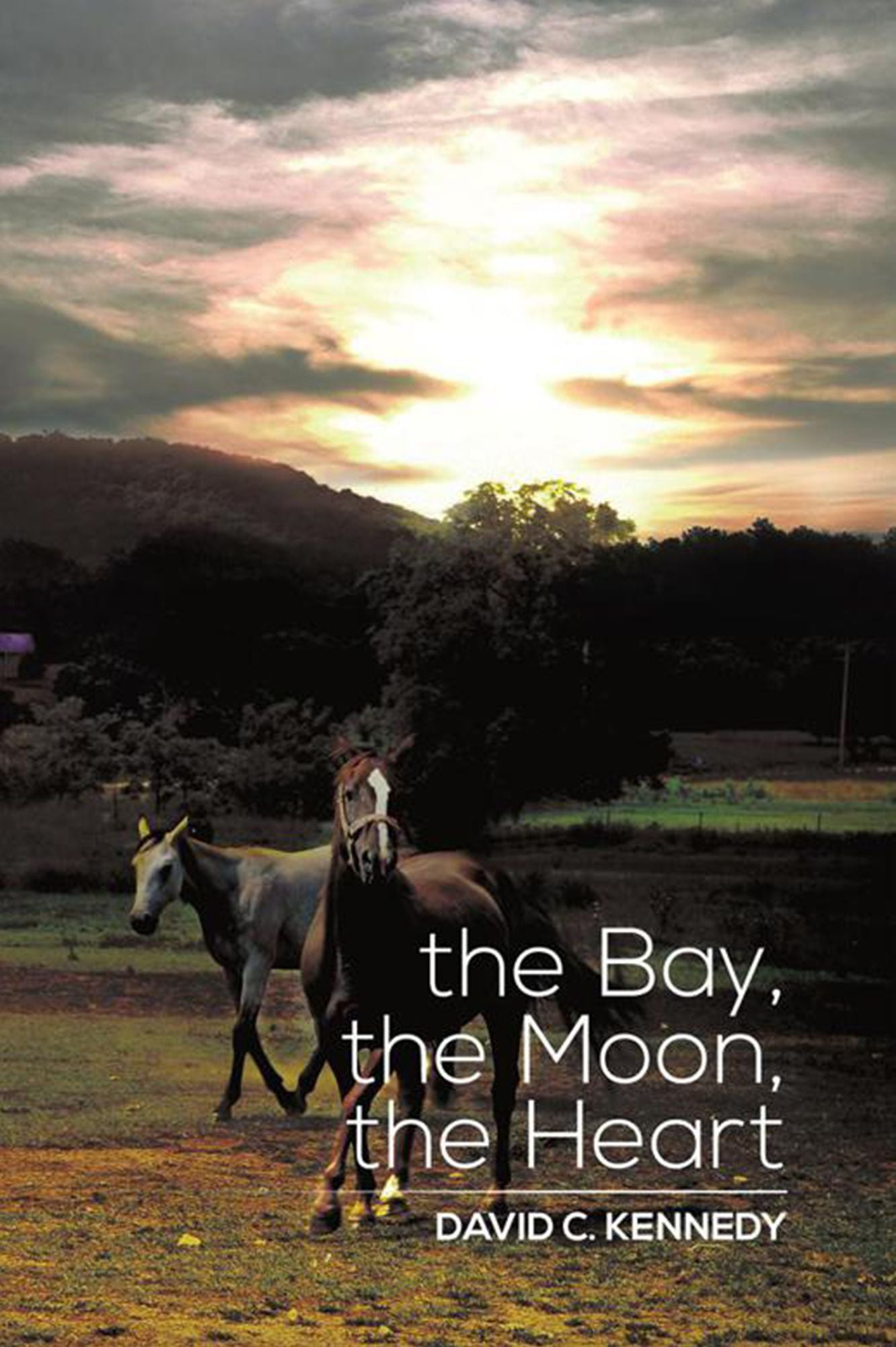 The Bay, The Moon, The Heart