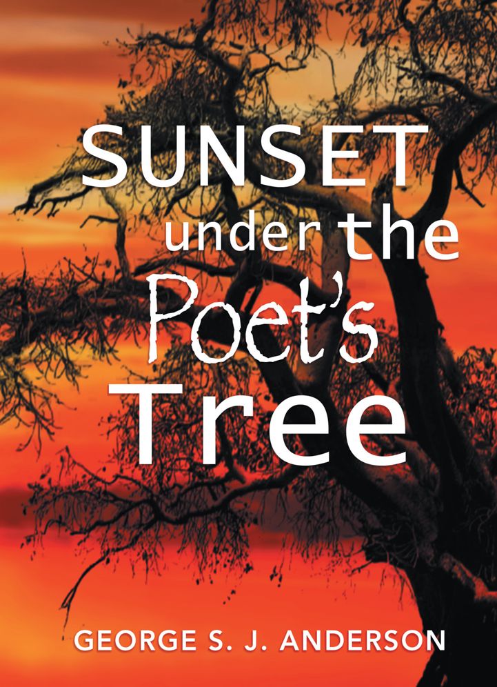 Sunset Under The Poet's Tree