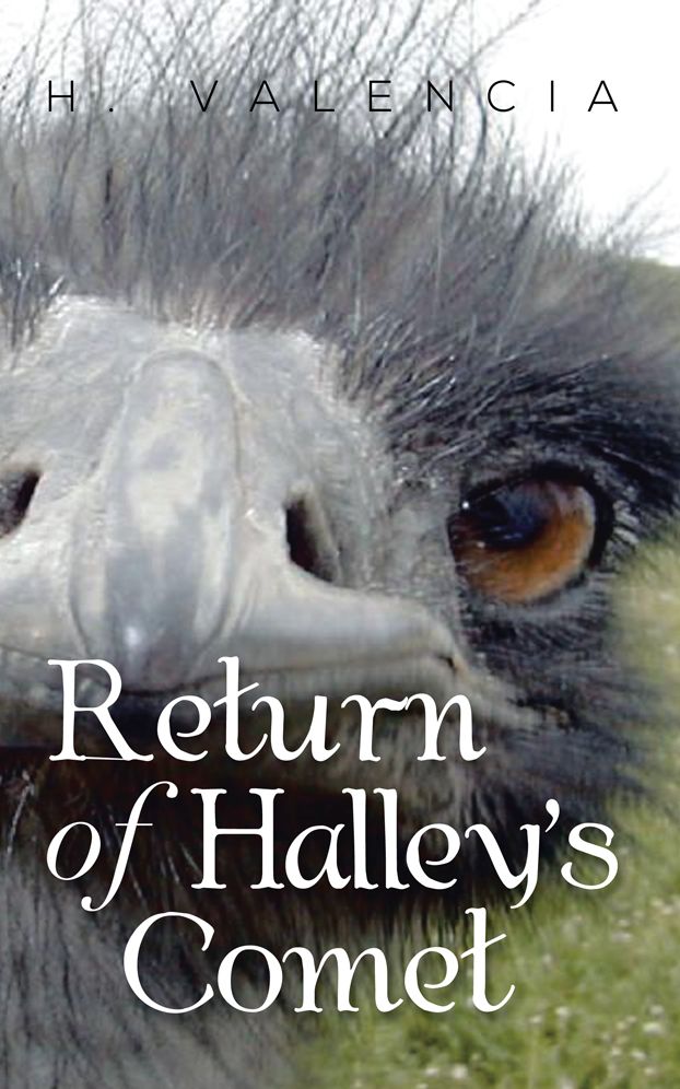 Return of Halley's Comet
