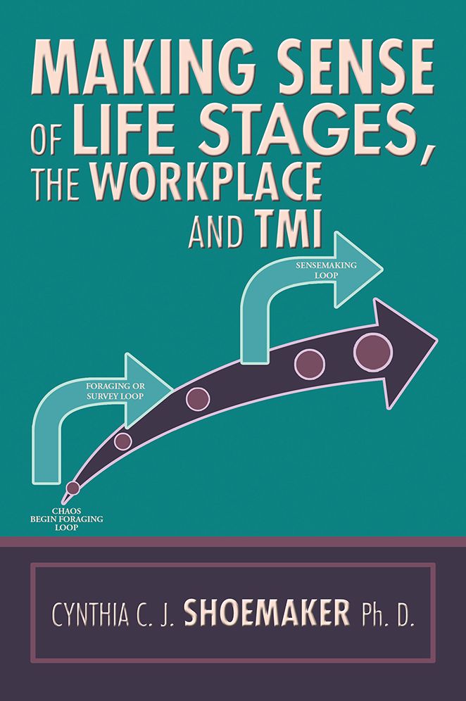 Making Sense of Life Stages, the Workplace and TMI
