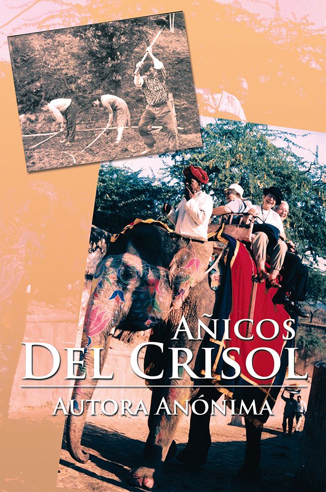 AÑICOS DEL CRISOL