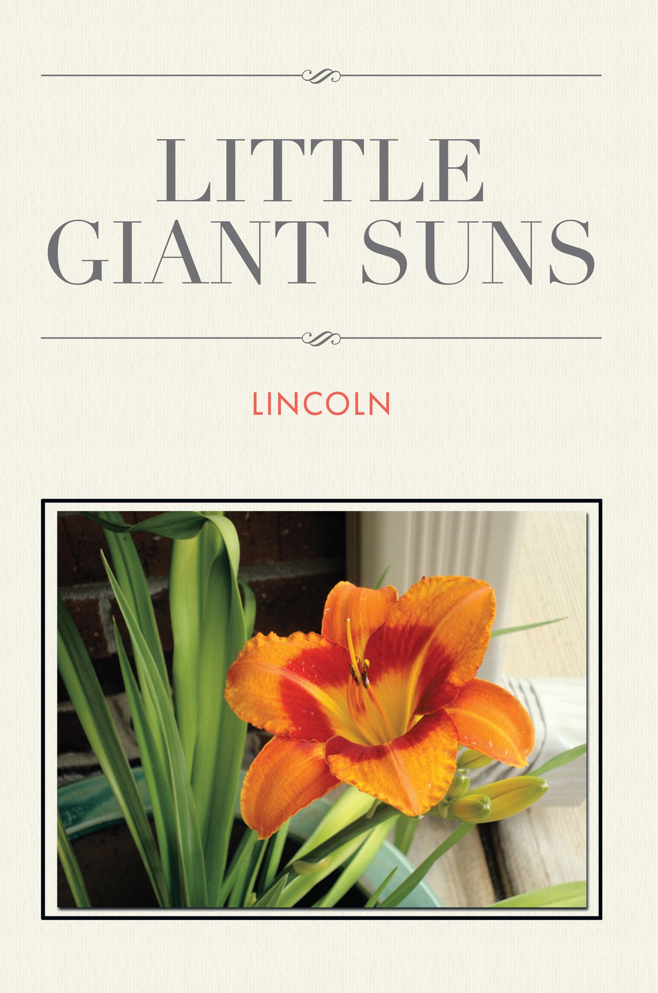 Little Giant Suns