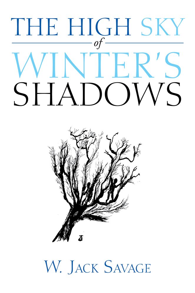 The High Sky of Winter's Shadows