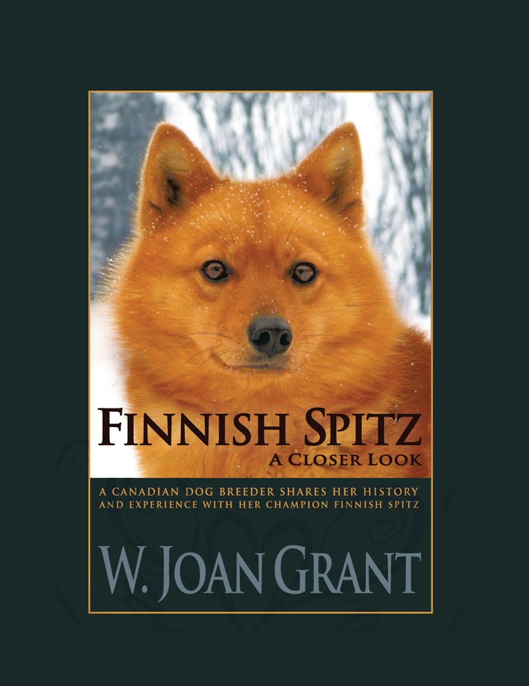 FINNISH SPITZ - A CLOSER LOOK (PagePerfect NOOK Book)