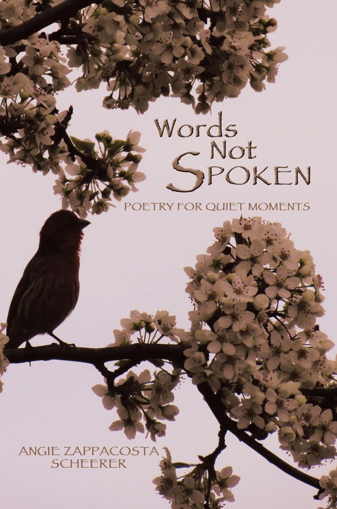 WORDS NOT SPOKEN: Poetry for Quiet Moments