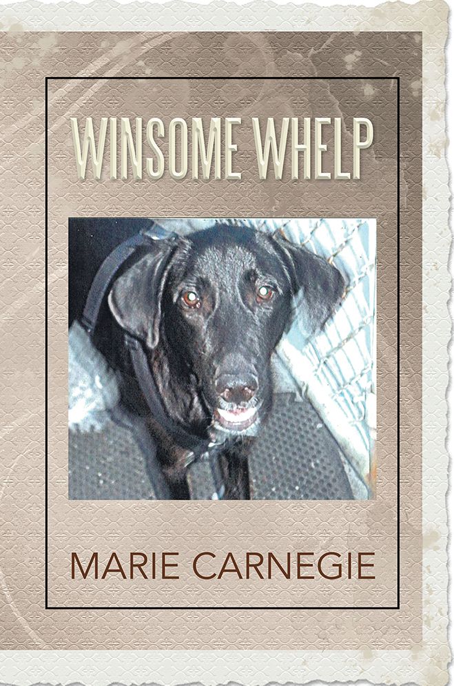 Winsome Whelp