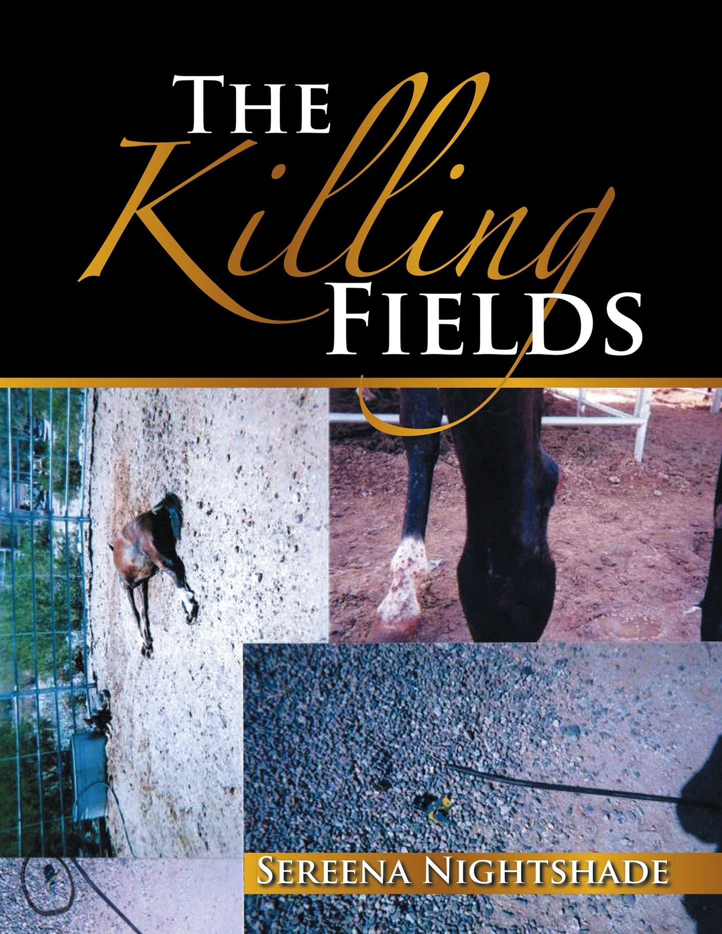 The Killing Fields