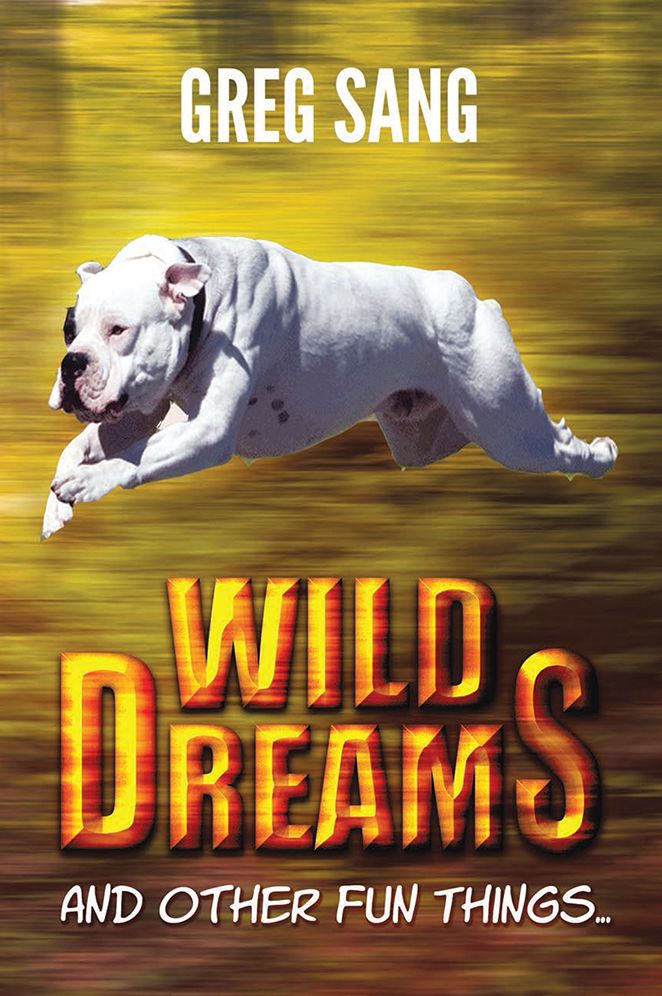 Wild Dreams: and Other Fun Things...