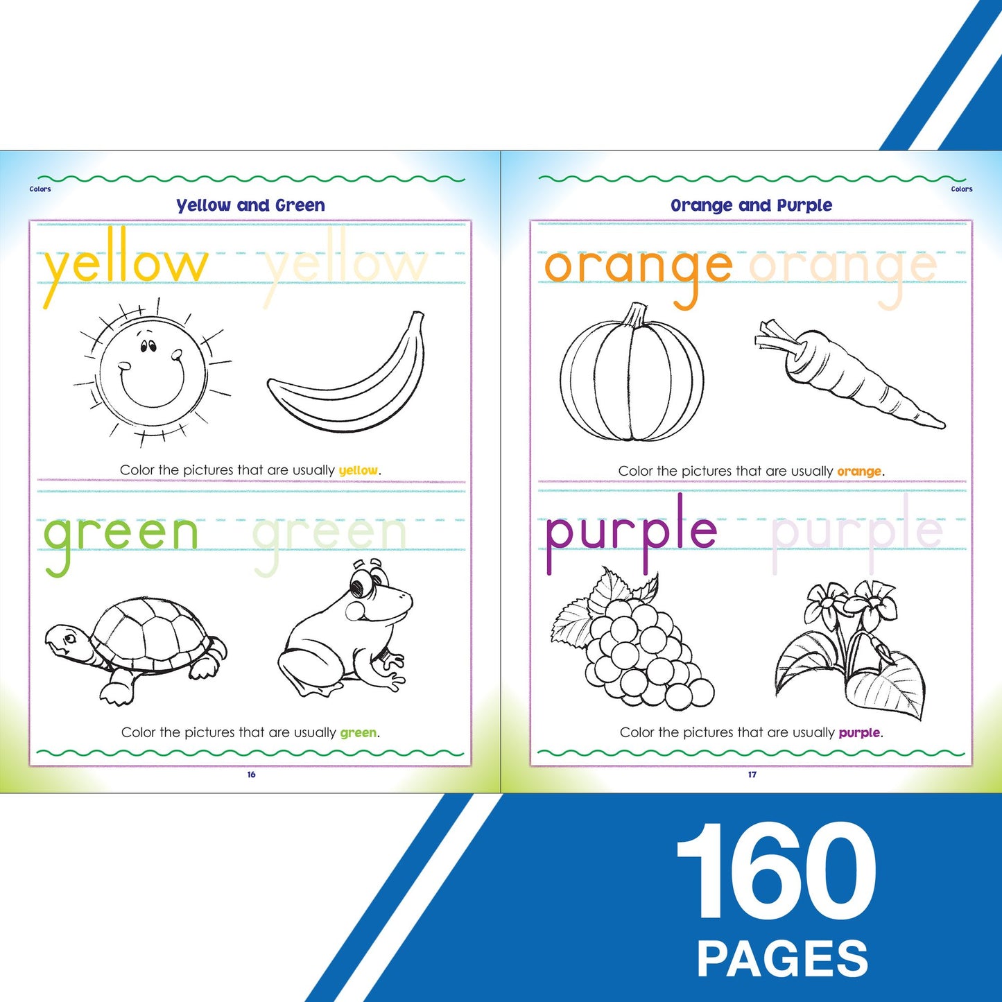 Carson Dellosa CD-704429 Mastering Basic Skills Pre-K Book
