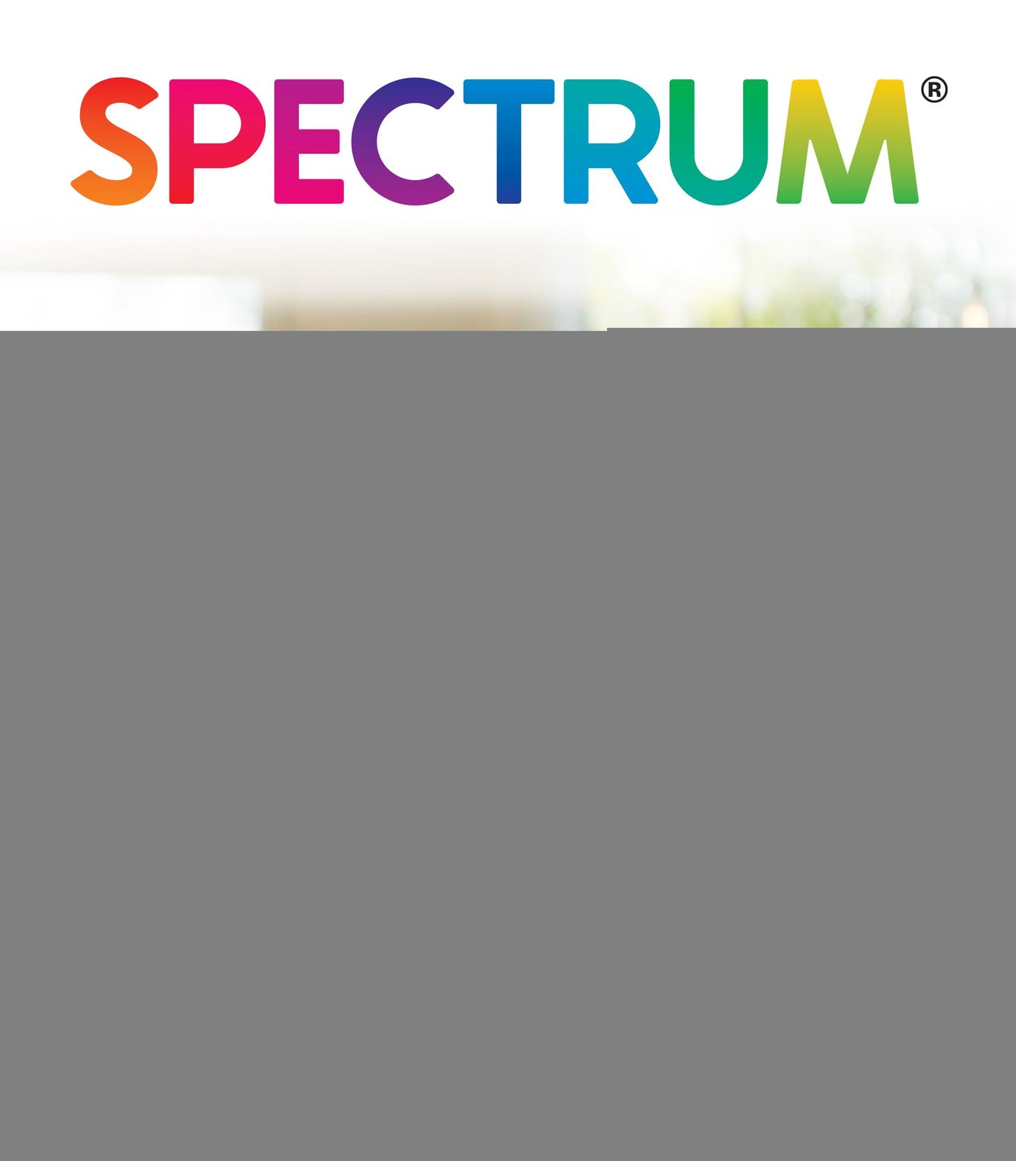 Spectrum Phonics Grade K