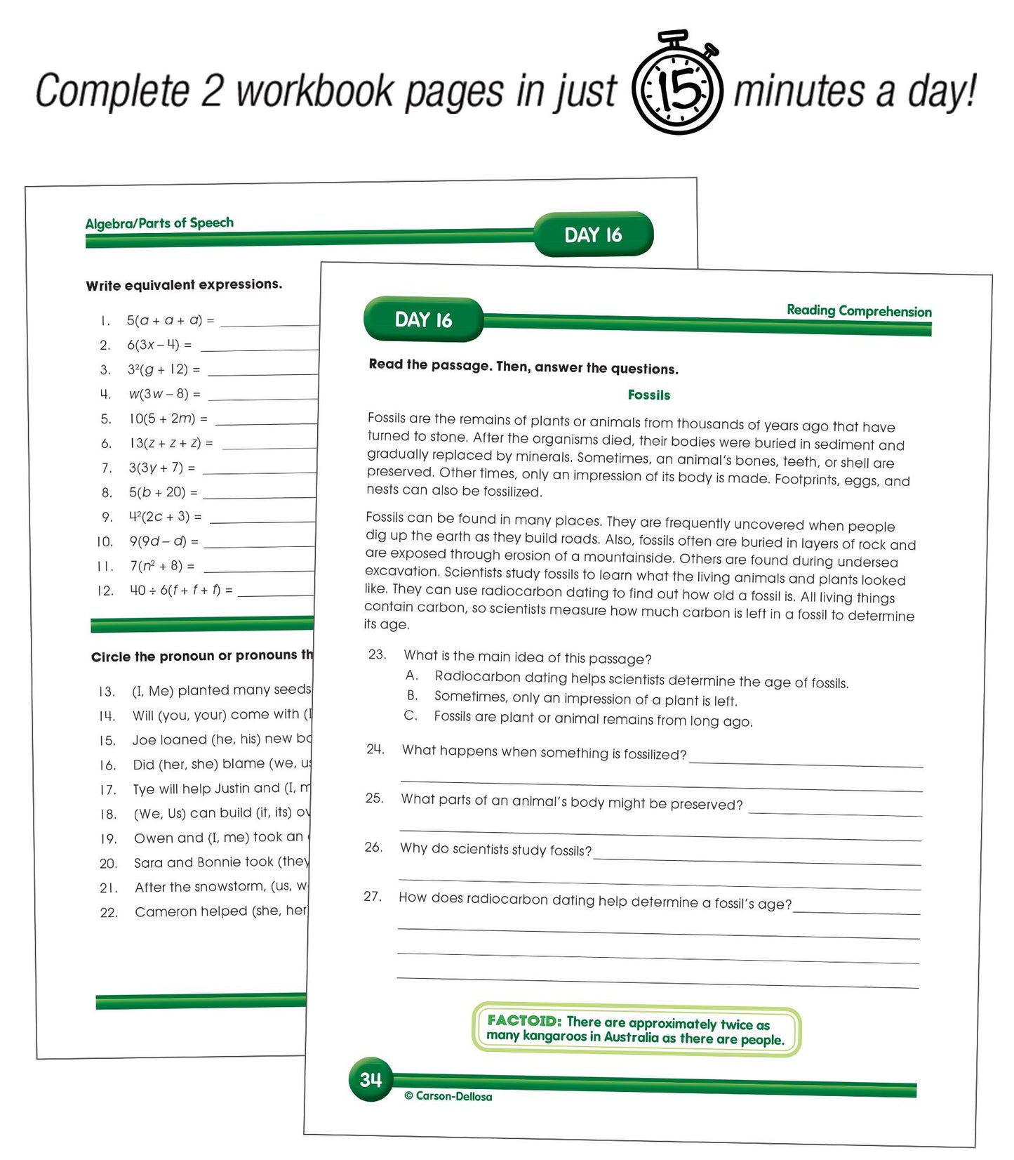 Summer Bridge Activities, Grades 6 - 7: Bridging Grades Sixth to Seventh