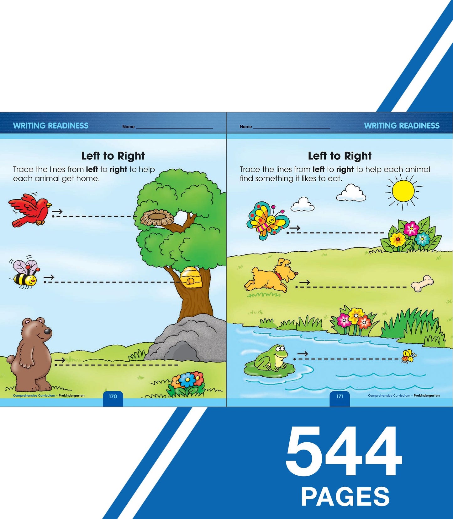 Comprehensive Curriculum of Basic Skills, Grade PK