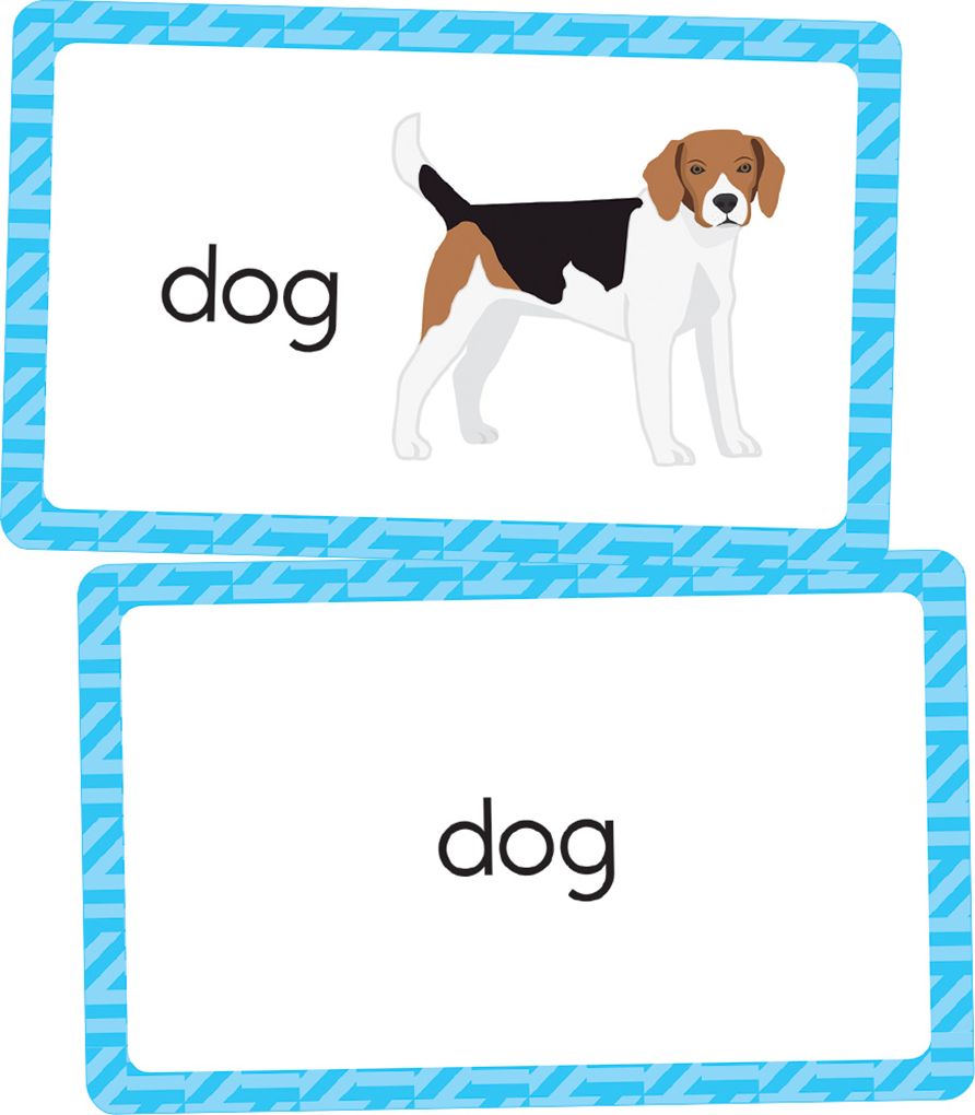 Picture Words: 54 Flash Cards