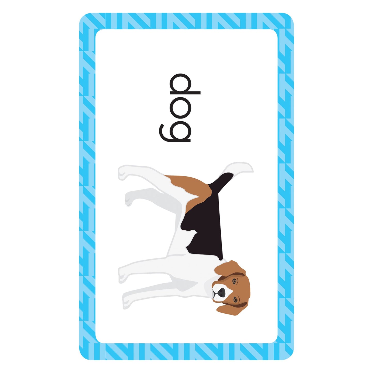 Picture Words: 54 Flash Cards