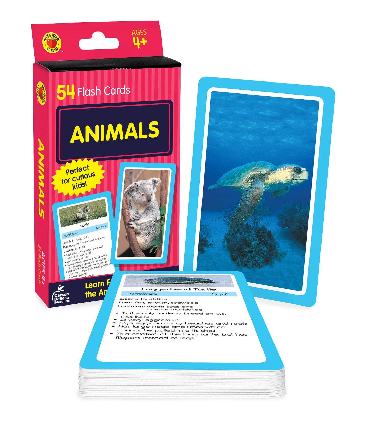 Animals: 54 Flash Cards