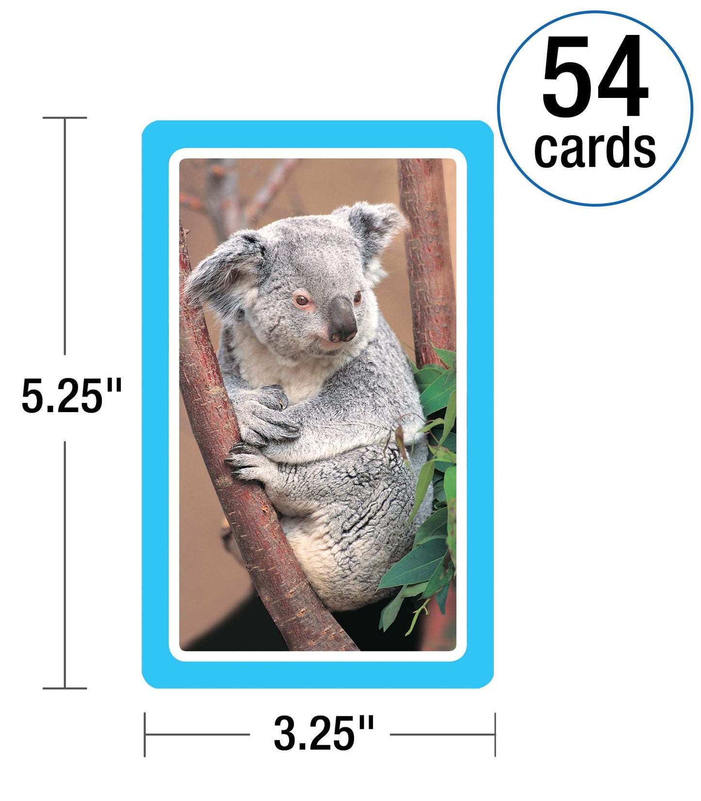 Animals: 54 Flash Cards